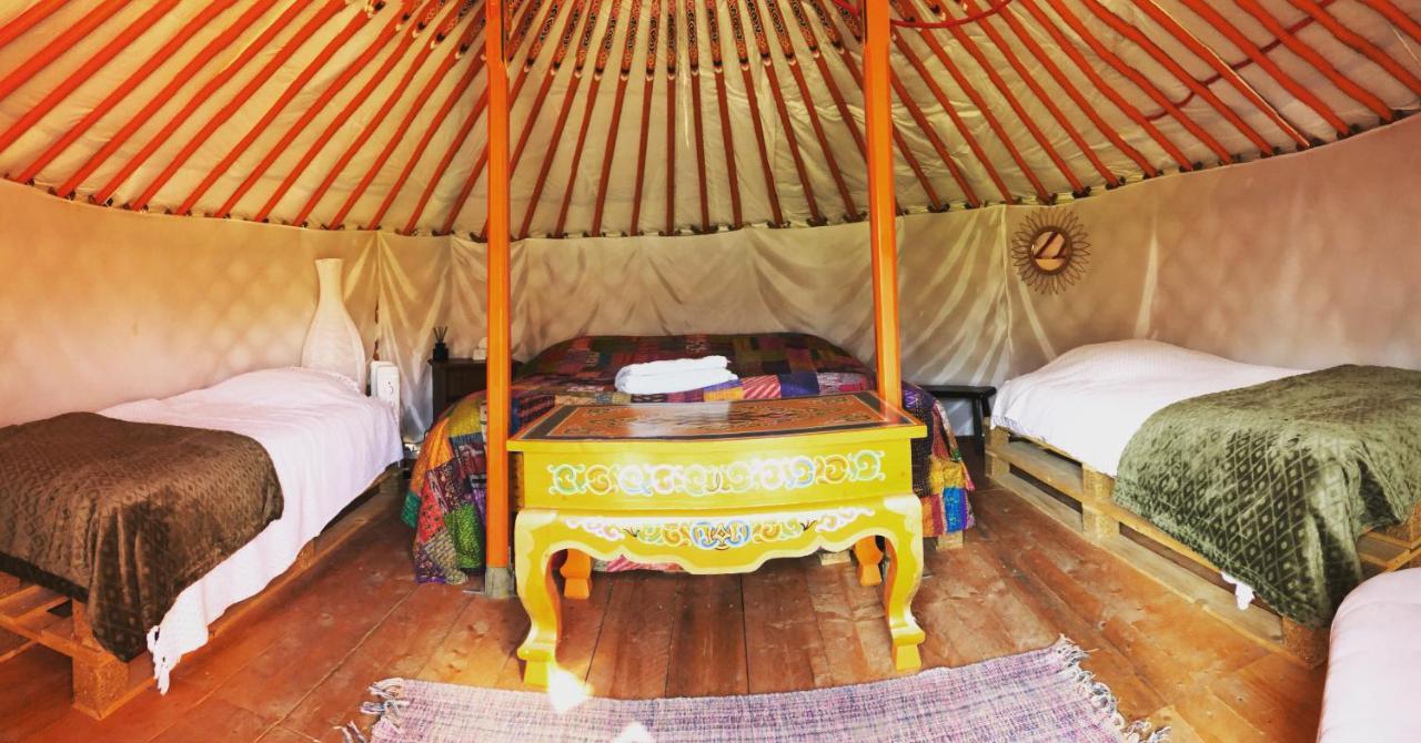 Les Colombines Bed & Breakfast Hombleux Eksteriør bilde